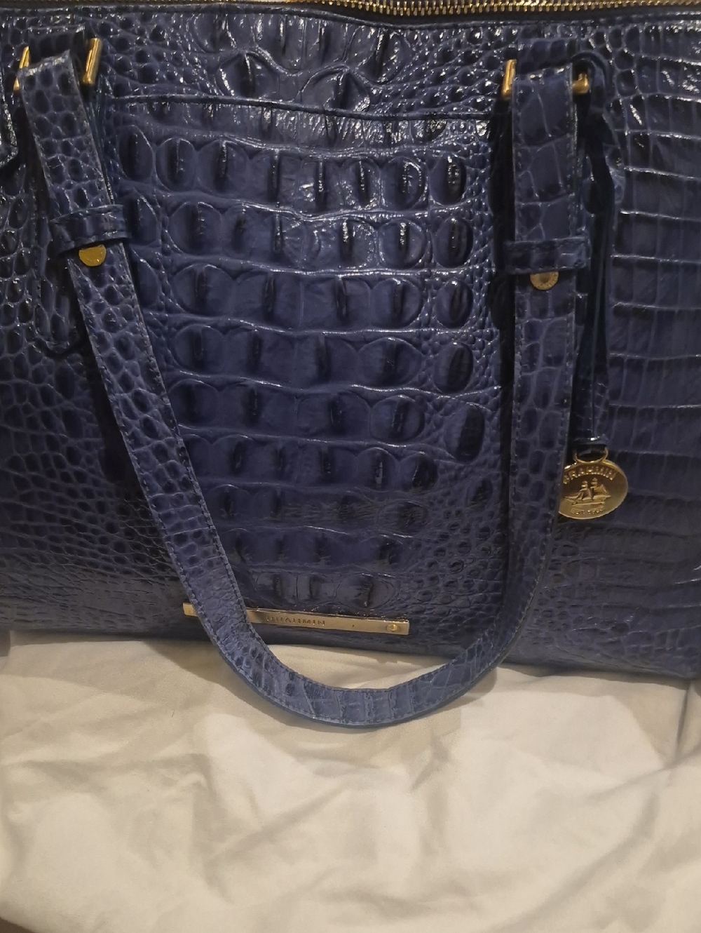 Bramin  Navy Croc Tote Bag